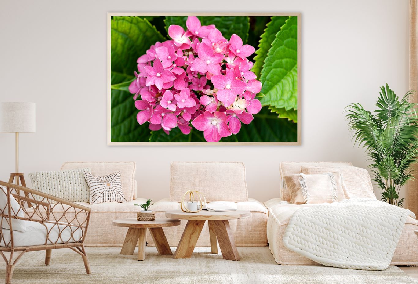 Pink Hydrangea Flower Closuep Photograph Home Decor Premium Quality Poster Print Choose Your Sizes