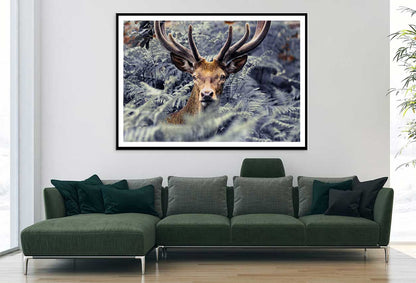 Trees Covered Deer Closeup View Photograph Home Decor Premium Quality Poster Print Choose Your Sizes