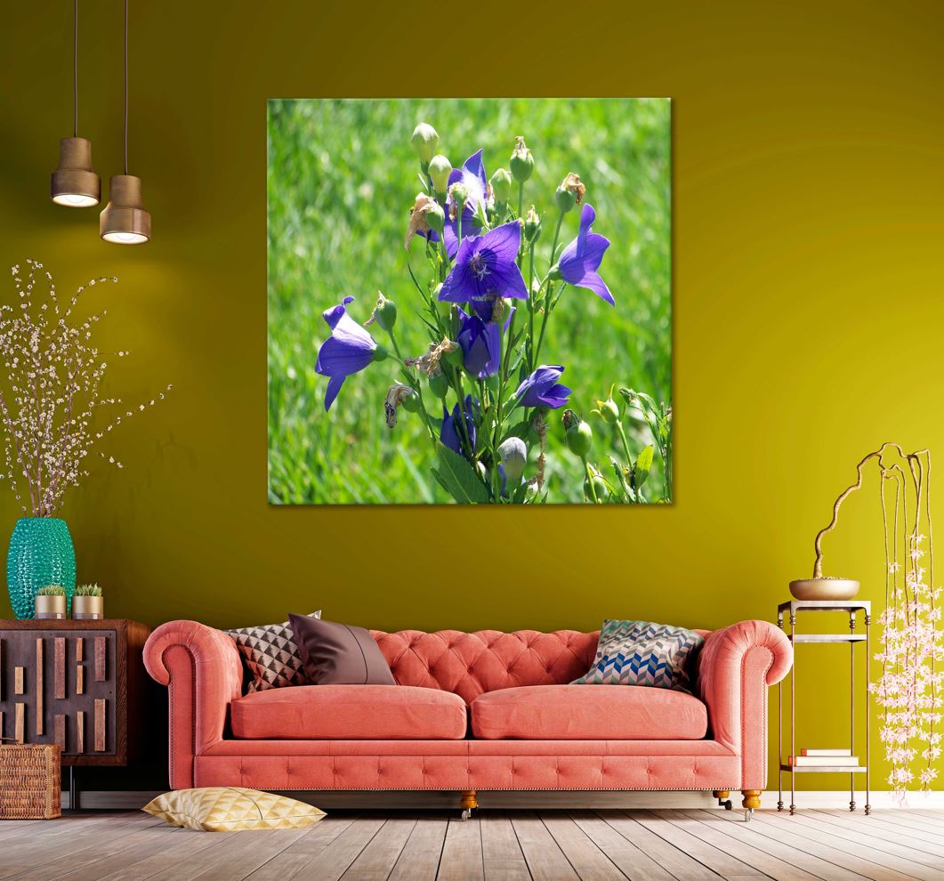 Square Canvas Purple Bell Flowers with Buds Photograph High Quality Print 100% Australian Made