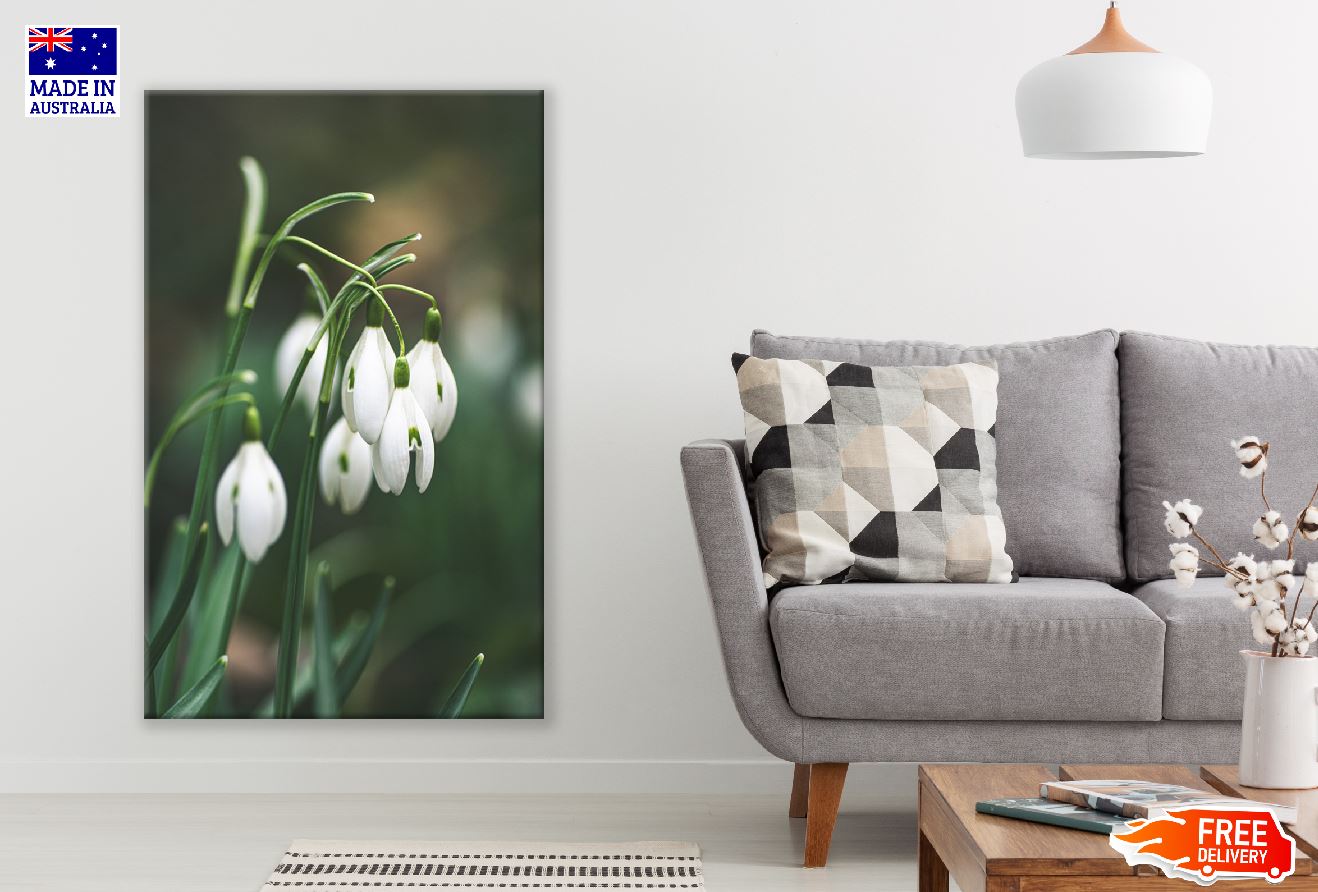 White Snowdrop Flowers Closeup Photograph Print 100% Australian Made