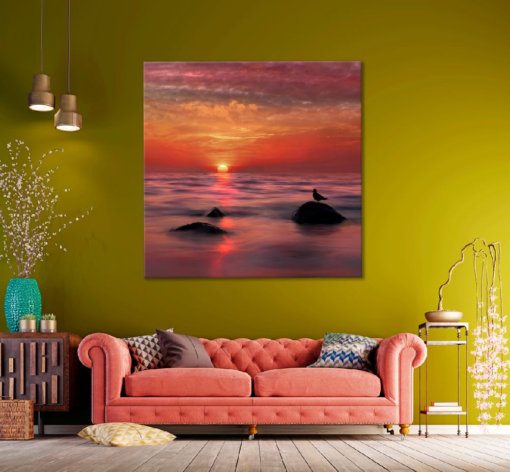 Square Canvas Bird on Sea Rocks Sunset View Photograph High Quality Print 100% Australian Made