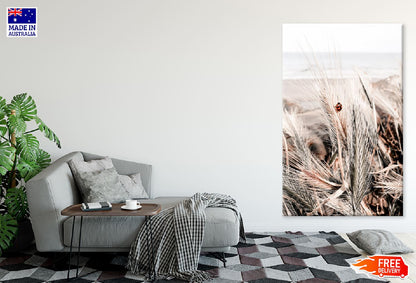 Ladybird at the Beach View Photograph Print 100% Australian Made