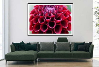 Maroon Dahlia Flower Closeup View Photograph Home Decor Premium Quality Poster Print Choose Your Sizes