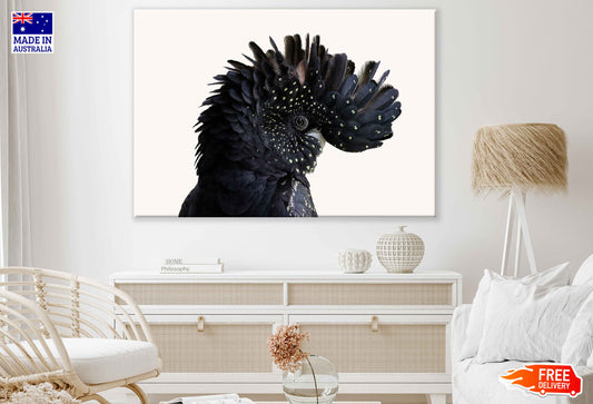 Black Cockatoo Bird Closeup View Photograph Print 100% Australian Made