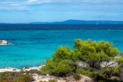 Aegean Sea View From Rock & Tree Photograph Print 100% Australian Made