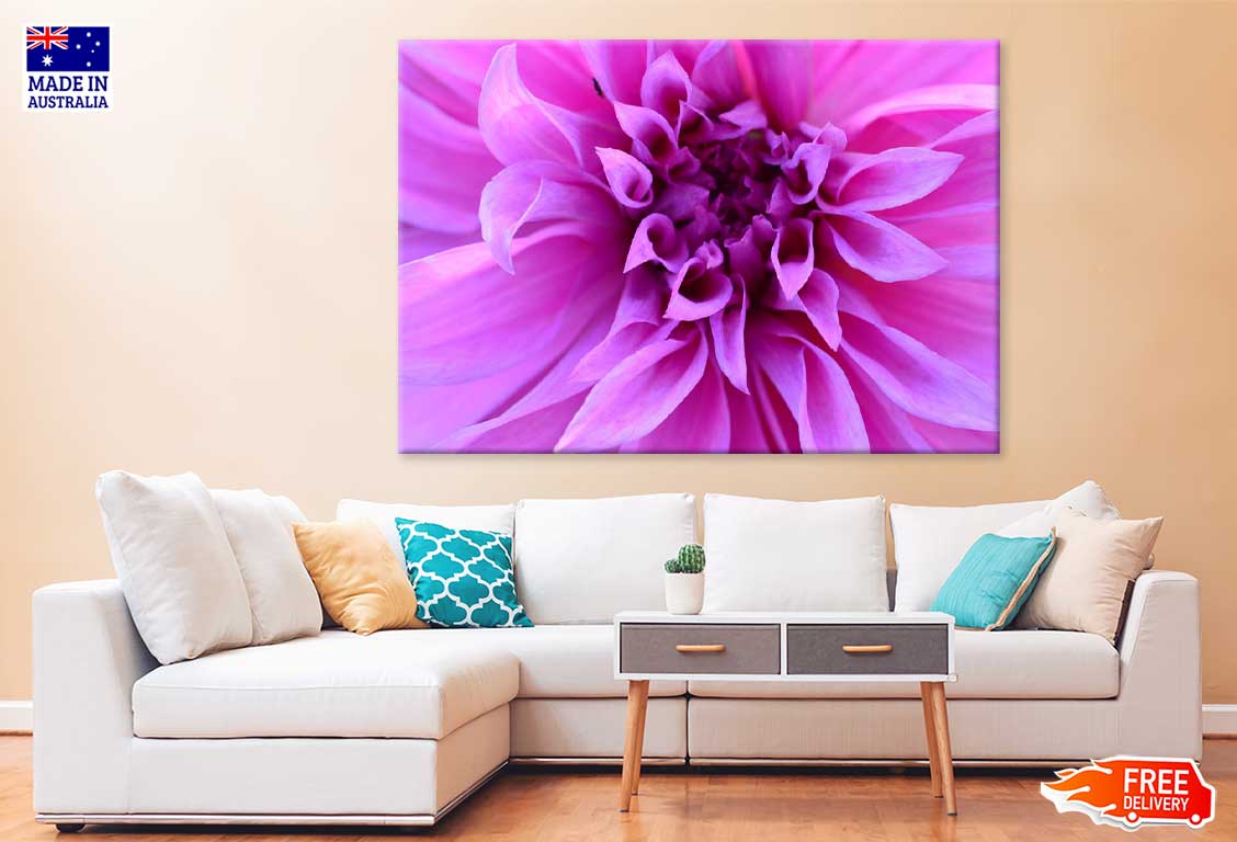 Purple Calyx Flower Closeup View Photograph Print 100% Australian Made