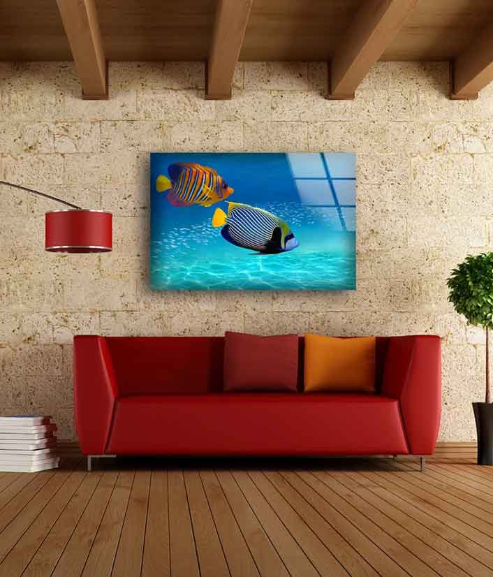 Colorful Fish in Sea Acrylic Glass Print Tempered Glass Wall Art 100% Made in Australia Ready to Hang