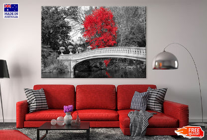 Red Autumn Tree with Bridge B&W Photograph Print 100% Australian Made