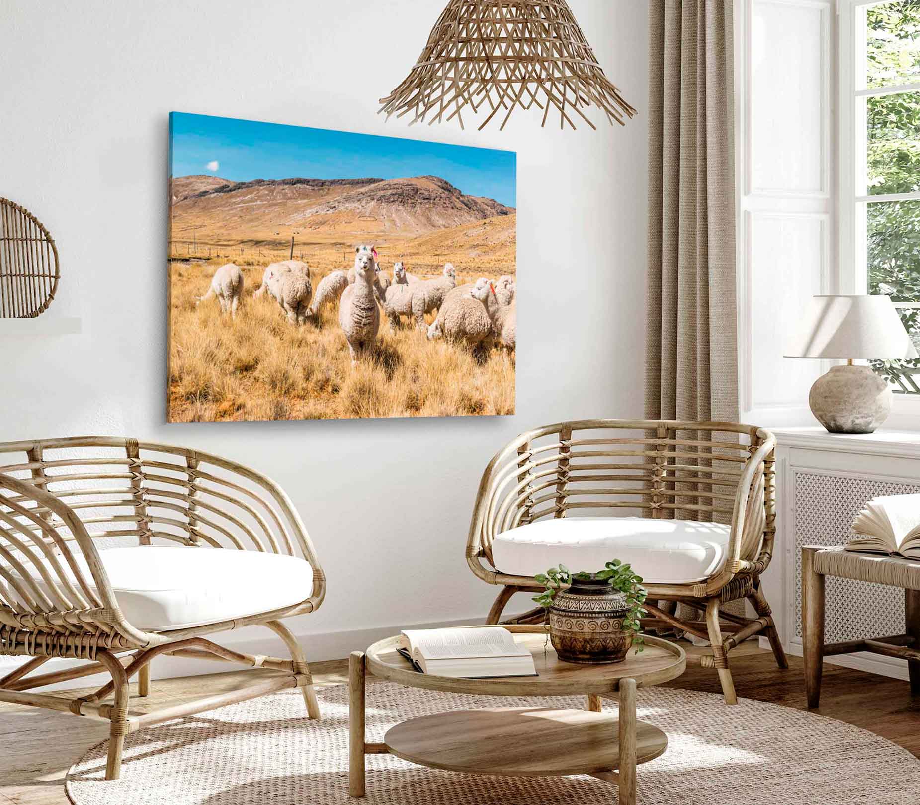 Bella Home Lamas & Eating Grass Print Canvas Ready to hang