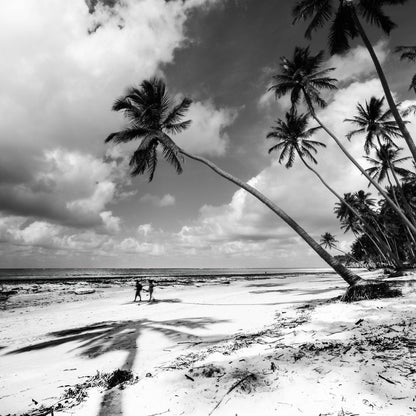 Square Canvas Palm Trees near Sea B&W Photograph High Quality Print 100% Australian Made