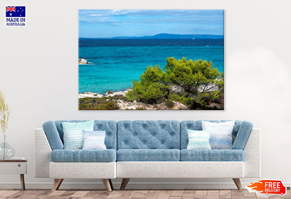 Aegean Sea View From Rock & Tree Photograph Print 100% Australian Made