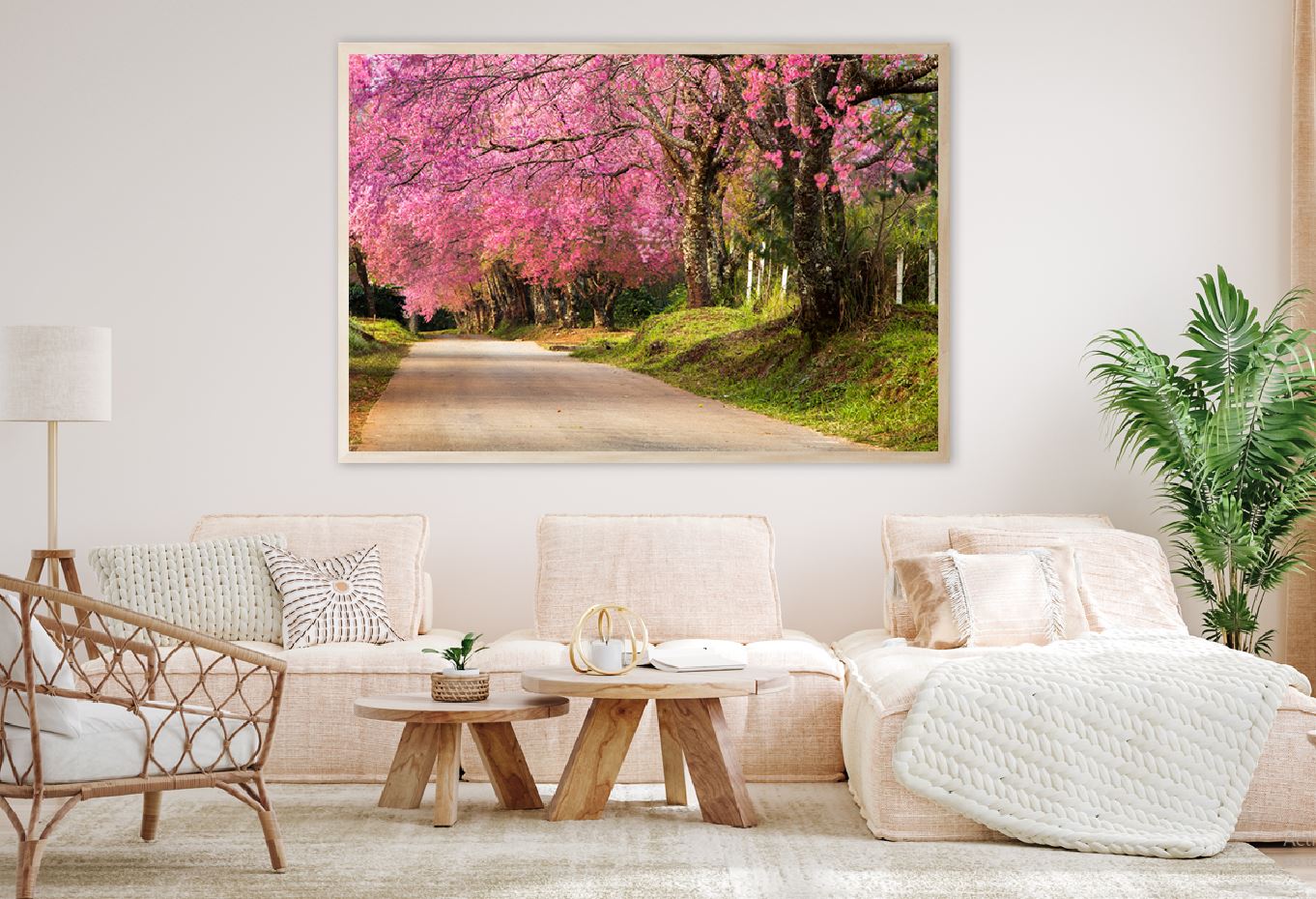 Cherry Blossom Tree on Road View Photograph Home Decor Premium Quality Poster Print Choose Your Sizes