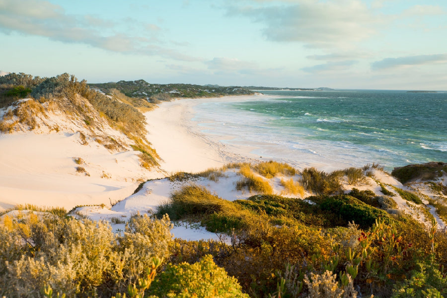 Bella Home Australia Beach Sand Dunes View Print Canvas Ready to hang