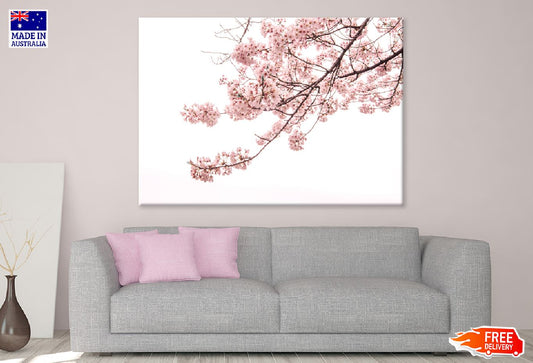 Cherry Blossom Flowers Branch View Photograph Print 100% Australian Made