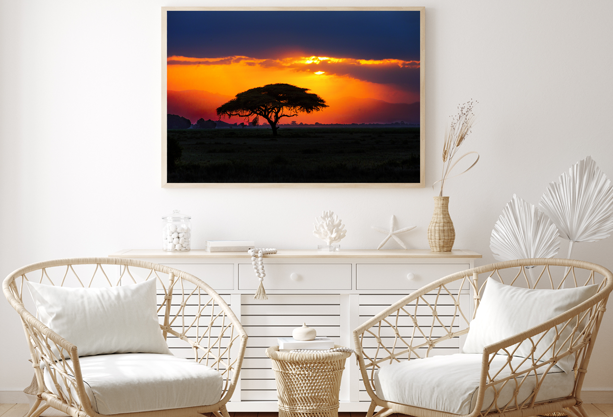 African Tree On Sunset View Home Decor Premium Quality Poster Print Choose Your Sizes