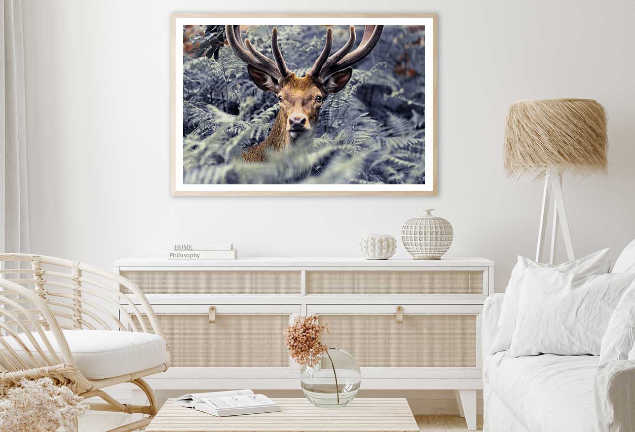 Trees Covered Deer Closeup View Photograph Home Decor Premium Quality Poster Print Choose Your Sizes