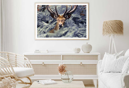 Trees Covered Deer Closeup View Photograph Home Decor Premium Quality Poster Print Choose Your Sizes