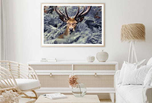 Trees Covered Deer Closeup View Photograph Home Decor Premium Quality Poster Print Choose Your Sizes