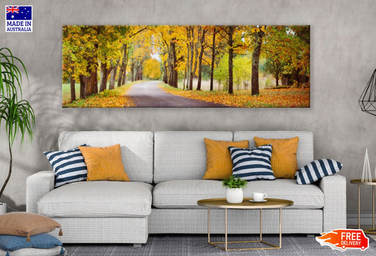 Panoramic Canvas Autumn Forest & Road Photograph High Quality 100% Australian made wall Canvas Print ready to hang