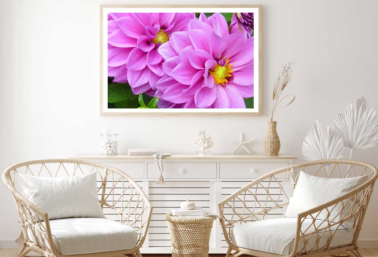 Pink Water Lilies Closeup View Photograph Home Decor Premium Quality Poster Print Choose Your Sizes