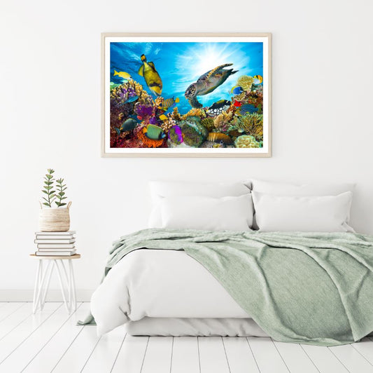 Sea Animals Underwater Photograph Home Decor Premium Quality Poster Print Choose Your Sizes