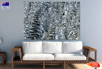 Snow Covered Trees Photograph Print 100% Australian Made