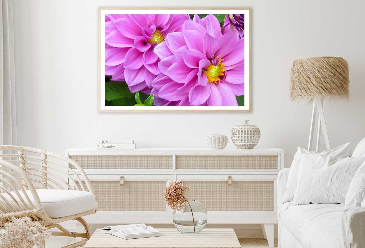 Pink Water Lilies Closeup View Photograph Home Decor Premium Quality Poster Print Choose Your Sizes