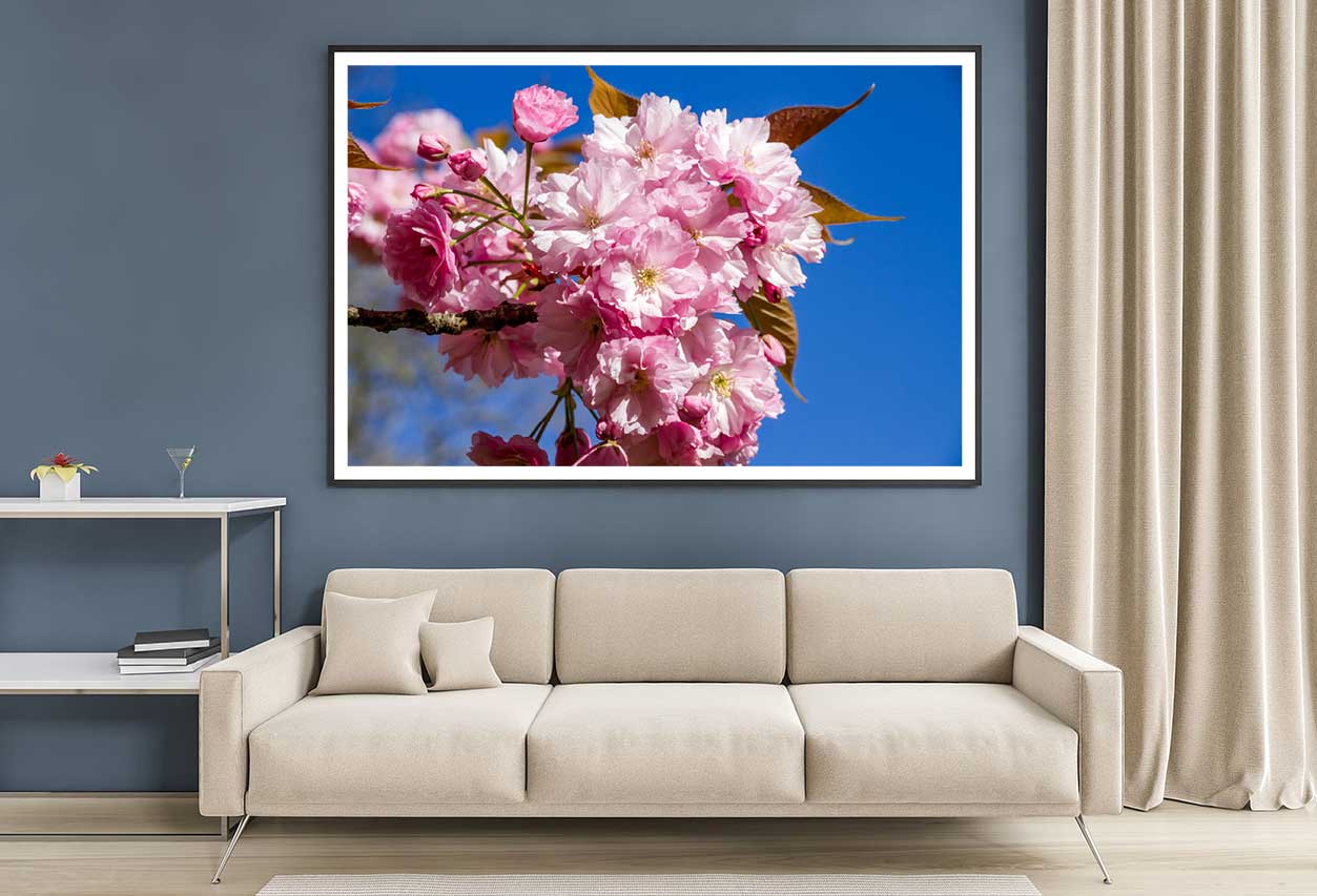 Japanese Cherry Blossom Branch View Photograph Home Decor Premium Quality Poster Print Choose Your Sizes