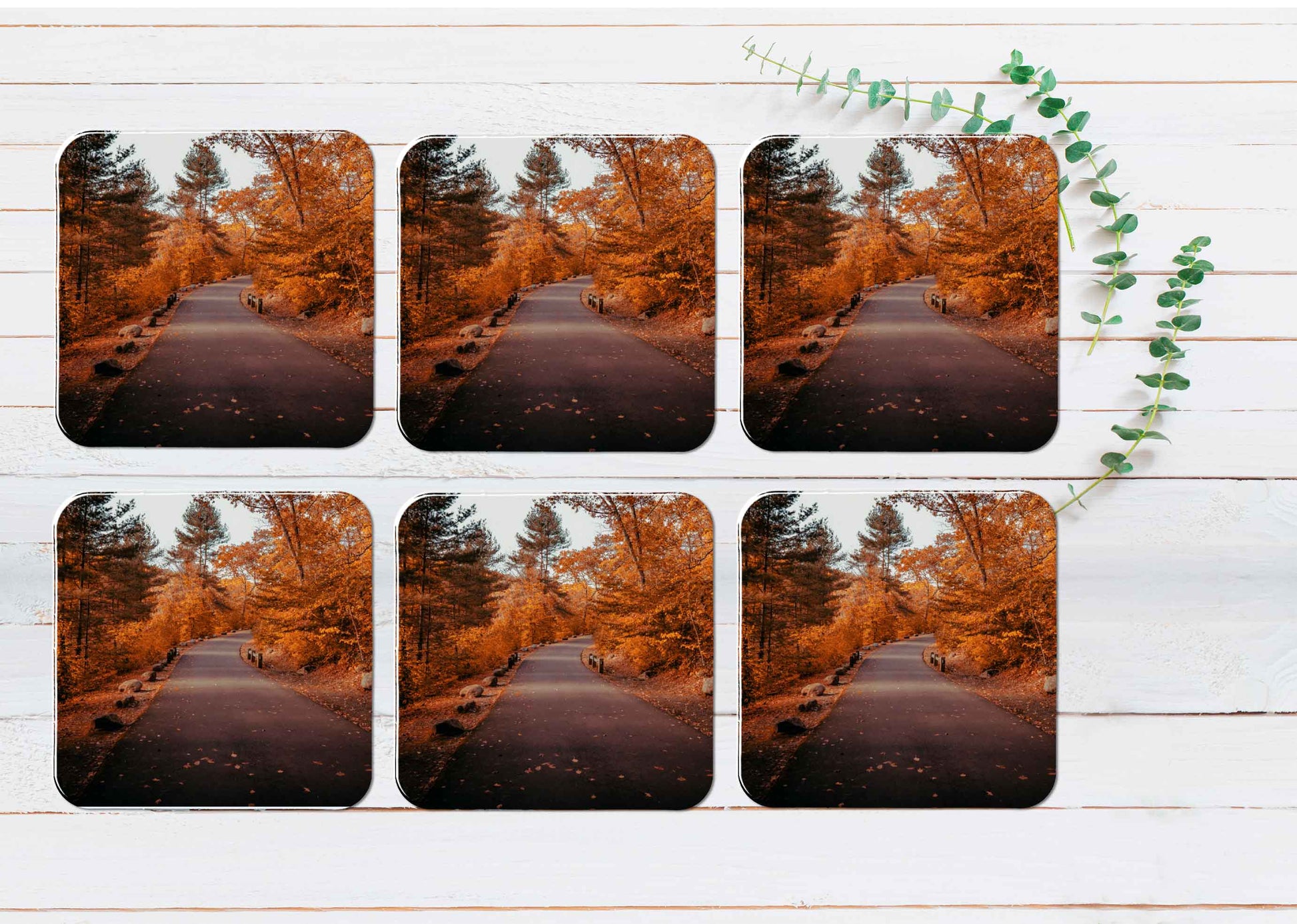 Autumnal Forest & Road Coasters Wood & Rubber - Set of 6 Coasters