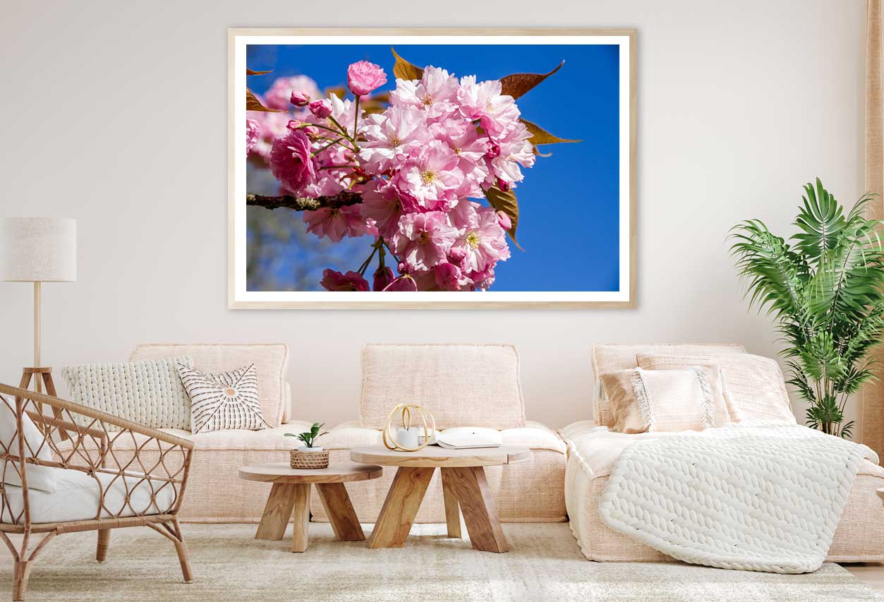 Japanese Cherry Blossom Branch View Photograph Home Decor Premium Quality Poster Print Choose Your Sizes