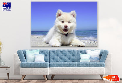 White Husky Puppy Closeup Photograph Print 100% Australian Made