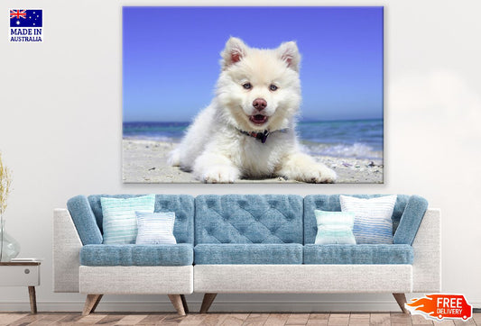 White Husky Puppy Closeup Photograph Print 100% Australian Made