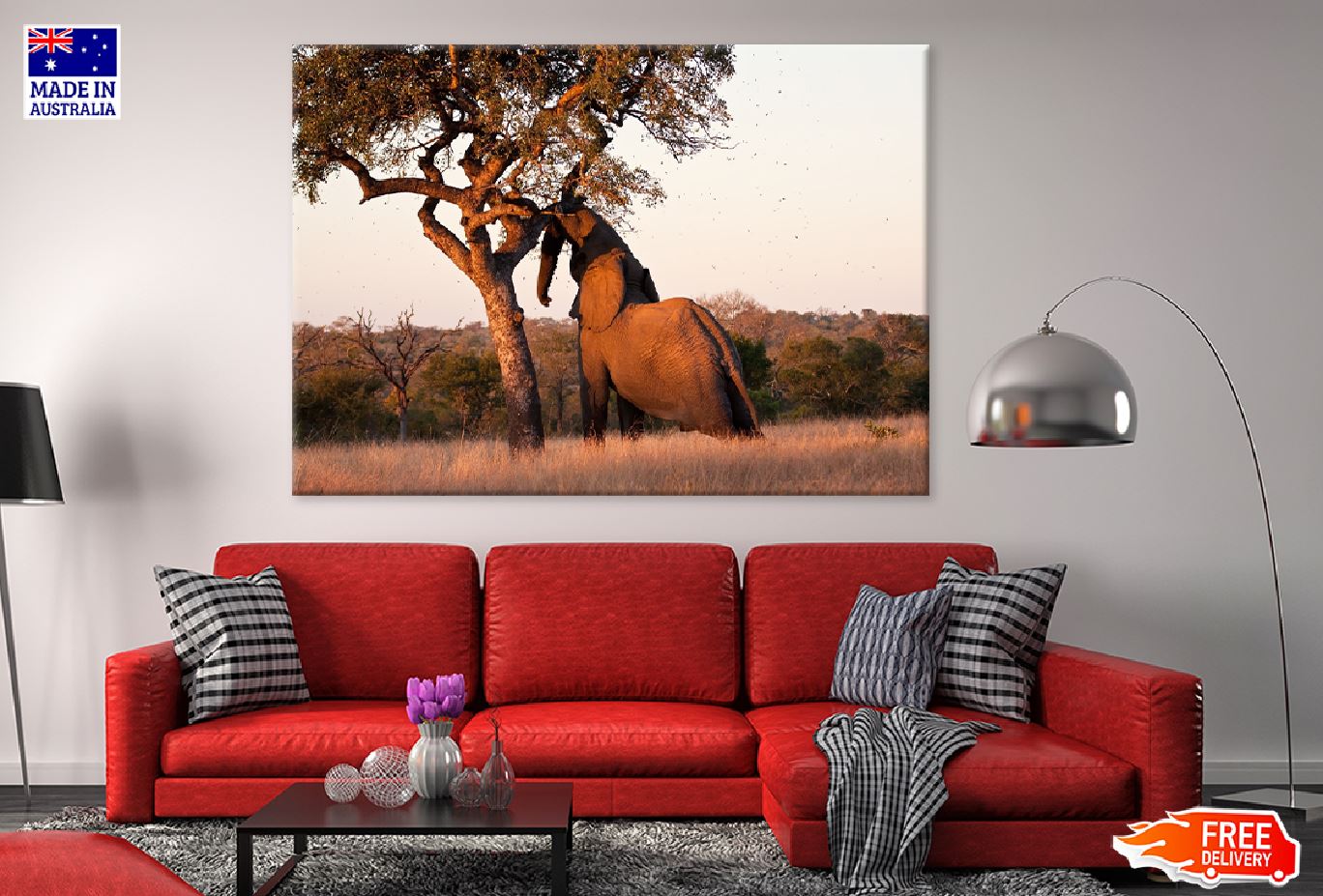 Elephant Push Marula Tree View Photograph Print 100% Australian Made