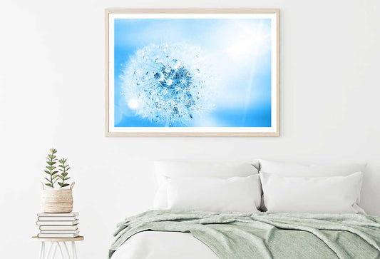 Water on Dandelion Macro View Photograph Home Decor Premium Quality Poster Print Choose Your Sizes