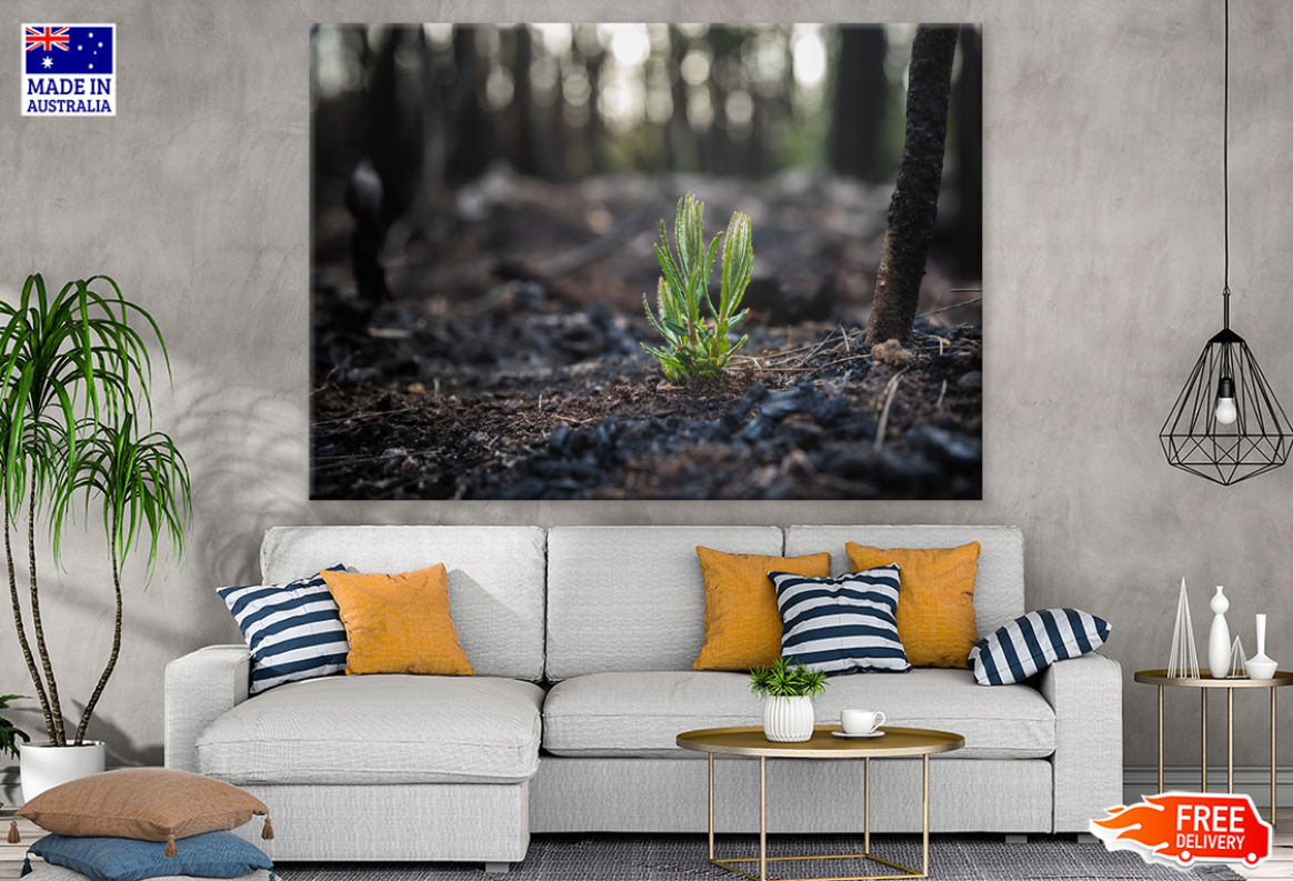 Plant & Trees View Portrait Photograph Print 100% Australian Made