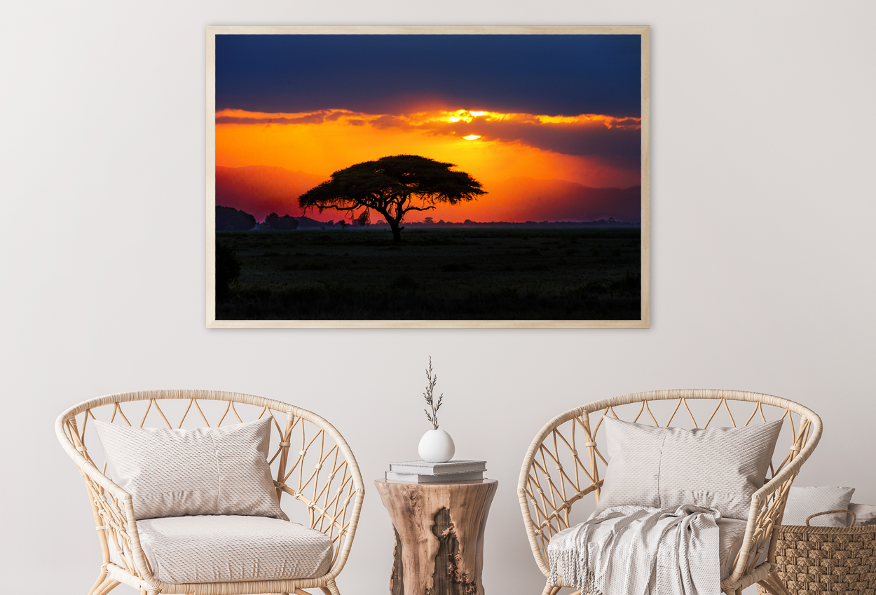 African Tree On Sunset View Home Decor Premium Quality Poster Print Choose Your Sizes