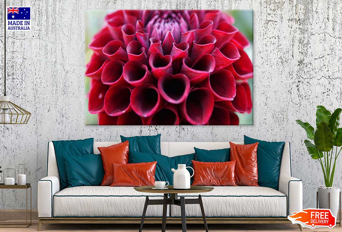 Maroon Dahlia Flower Closeup View Photograph Print 100% Australian Made