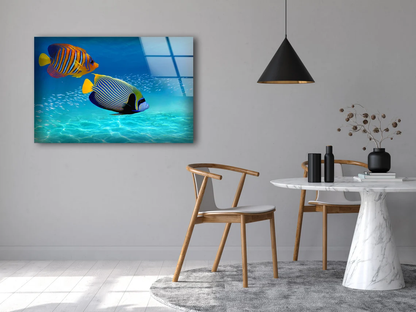 Colorful Fish in Sea Acrylic Glass Print Tempered Glass Wall Art 100% Made in Australia Ready to Hang