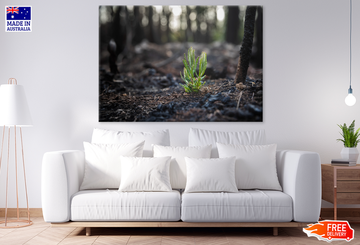 Plant & Trees View Portrait Photograph Print 100% Australian Made