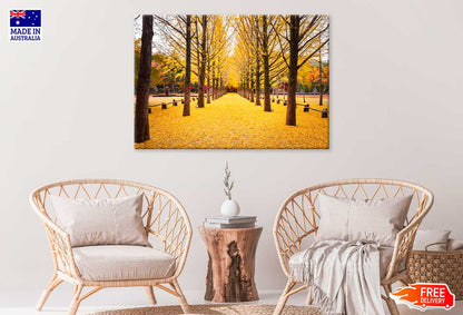 Yellow Autumn Trees & Garden Scenery Photograph Print 100% Australian Made