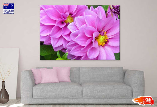 Pink Water Lilies Closeup View Photograph Print 100% Australian Made