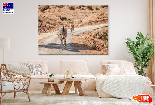 Zebras Walking On Road Photograph Print 100% Australian Made