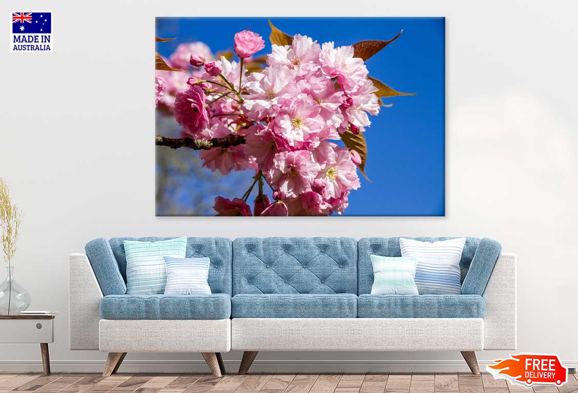 Japanese Cherry Blossom Branch View Photograph Print 100% Australian Made