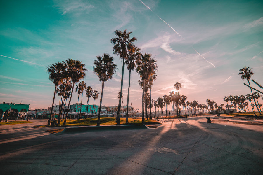 Palm Trees on Venice Sunrise View Photograph Print 100% Australian Made