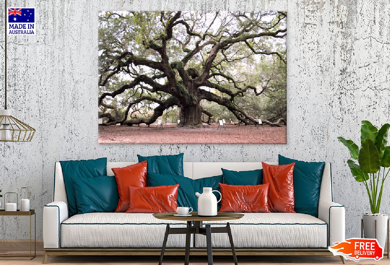 Angel Oak Tree View Photograph in US Print 100% Australian Made