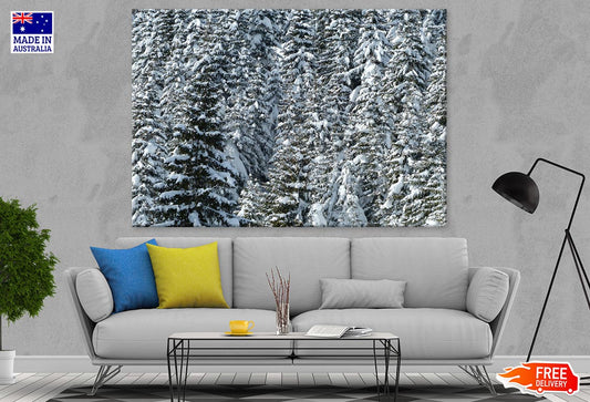 Snow Covered Trees Photograph Print 100% Australian Made