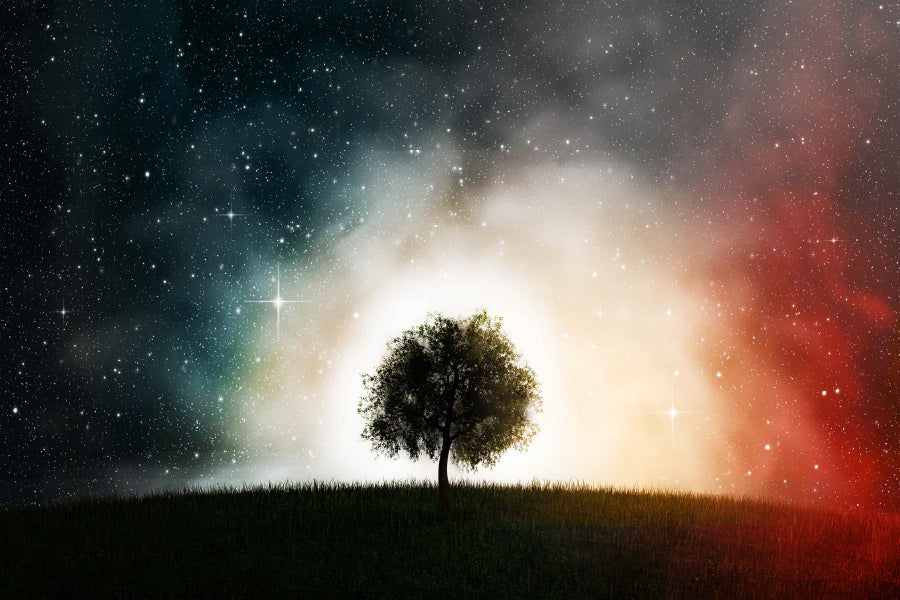 Alone Tree & Milky Way Sky View Photograph Print 100% Australian Made