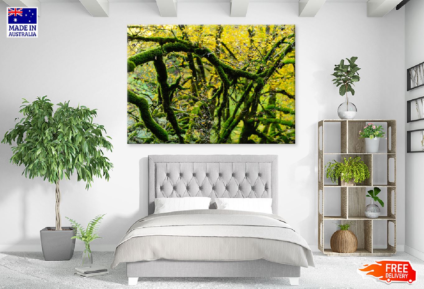 Mossy Tree Branches View Photograph Print 100% Australian Made