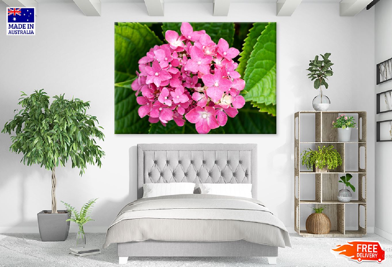 Pink Hydrangea Flower Closuep View Photograph Print 100% Australian Made