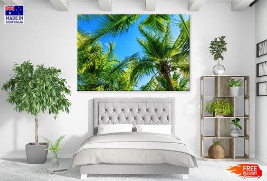 Coconut Palm Trees Bottom View Photograph Print 100% Australian Made